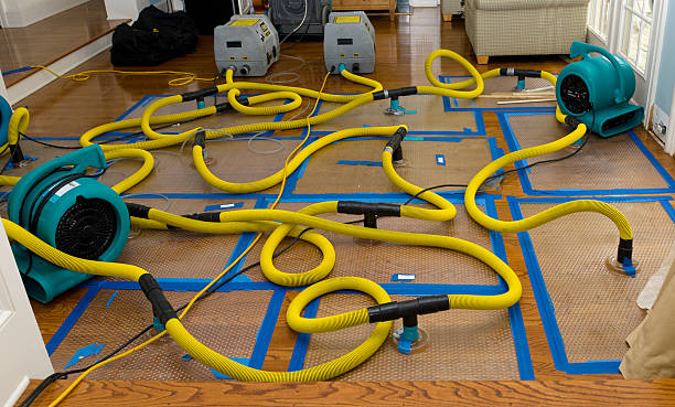 Professional Water Damage Repair technician working in Memphis, MI