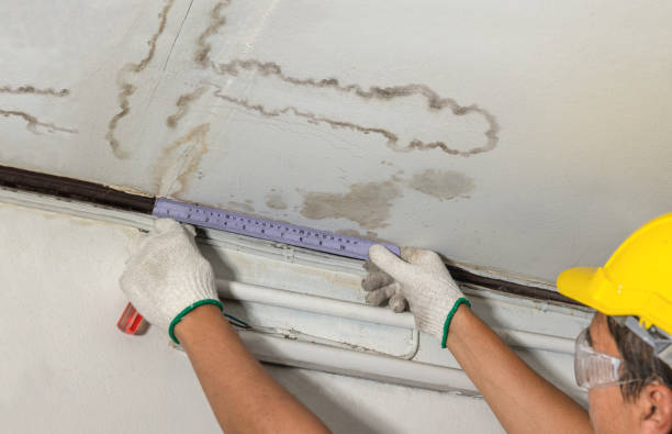 Affordable Water Damage Repair solutions in Memphis, MI
